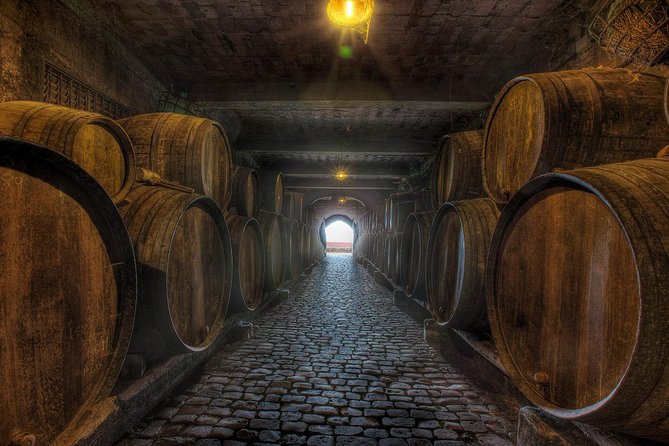 Tenerife Gastronomy Tour with Two Winery Visits and 4-Course Lunch - The guide can shape the whole day