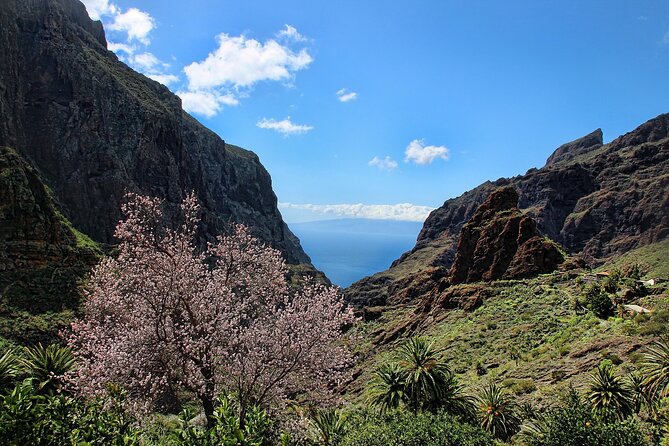 Tenerife Grand Tour: including Teide National Park and Masca - What this Tenerife grand tour is really designed to do