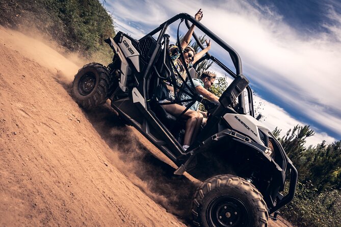 Tenerife Guided Buggy Discovery Tour Around Mount Teide - Key points to know before booking