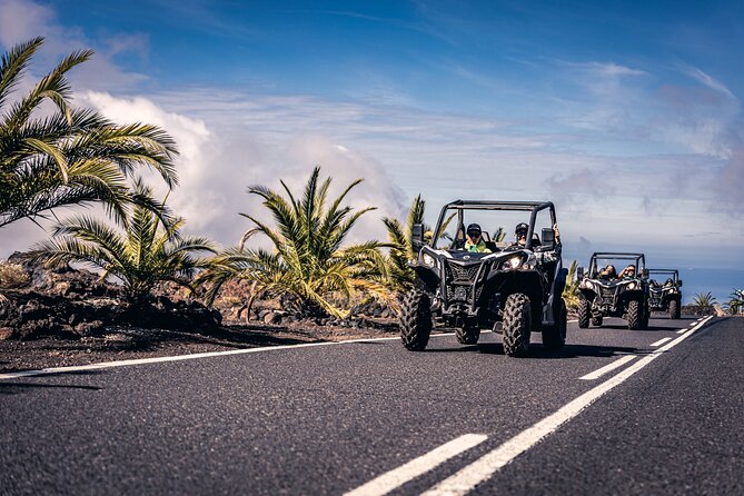 Tenerife Guided Buggy Discovery Tour Around Mount Teide - Arguayo and the story written in volcanic ground