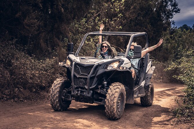 Tenerife Guided Buggy Discovery Tour Around Mount Teide - Who will enjoy this most?