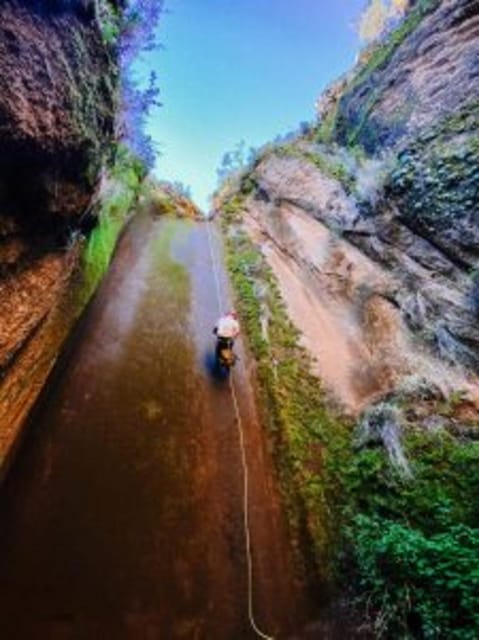 Tenerife: Guided Canyoning Experience in Los Arcos - Who should book, and who should skip it