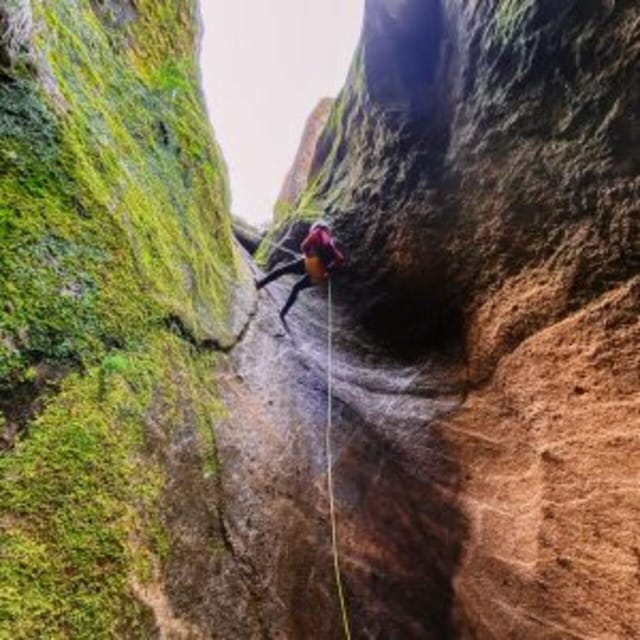 Tenerife: Guided Canyoning Experience in Los Arcos - Rappelling down the volcanic walls