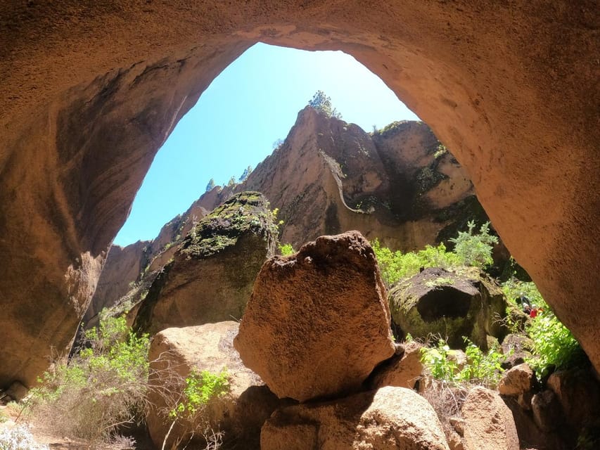Tenerife: Guided Canyoning Experience in Los Arcos - A nature lesson between the ropes