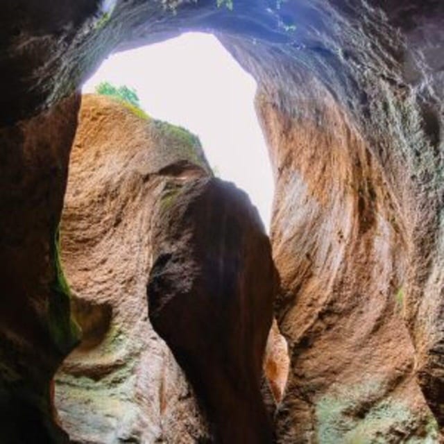 Tenerife: Guided Canyoning Experience in Los Arcos - Returning after the final descent