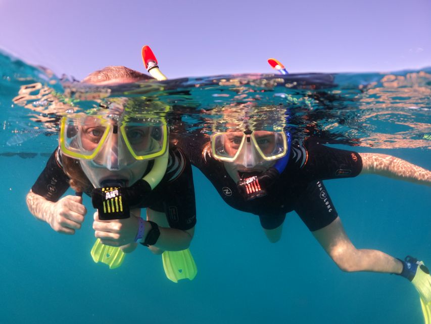 Tenerife: Half-Day Snorkeling Tour - Gear, Instruction, and Comfort in the Water