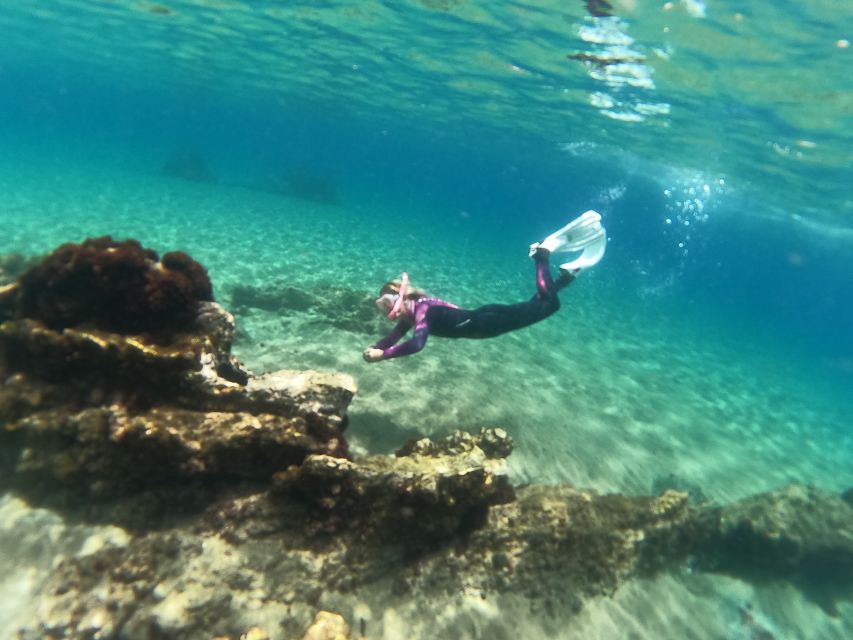 Tenerife: Half-Day Snorkeling Tour - Why the Small Group Size Helps