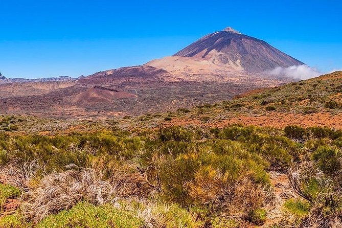 Tenerife Highlights Full-Day Tour - Why this Tenerife day trip covers so much ground
