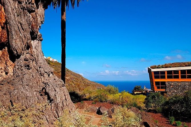 Tenerife Highlights Full-Day Tour - Garachico and the black volcanic coast