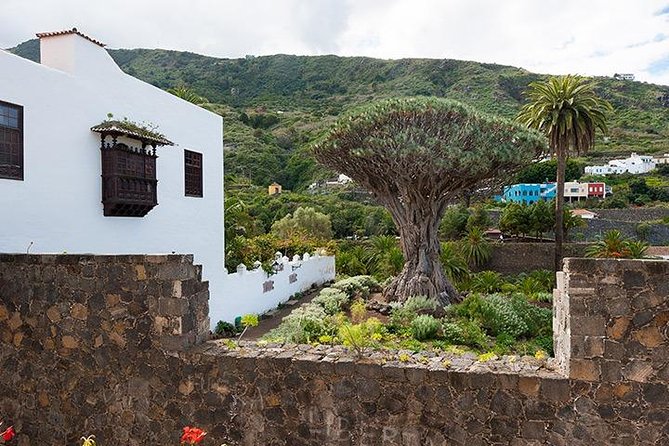 Tenerife Highlights Full-Day Tour - What $67.58 buys you
