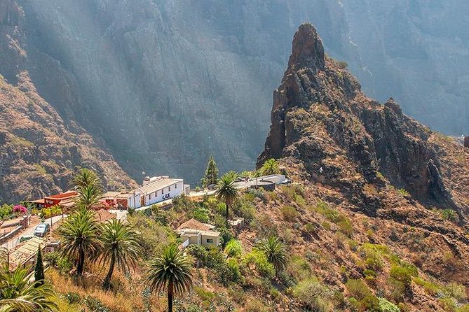 Tenerife Highlights Full-Day Tour - Who should book this tour?