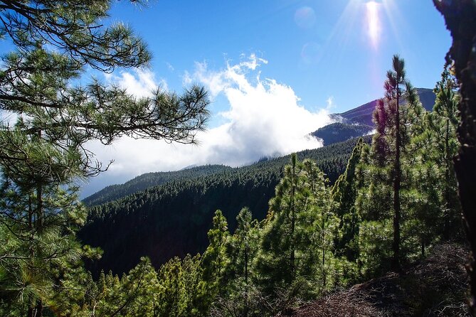 Tenerife Highlights VIP Custom Private Tour - photos included - Los Roques and Tenerife’s black-sand coast