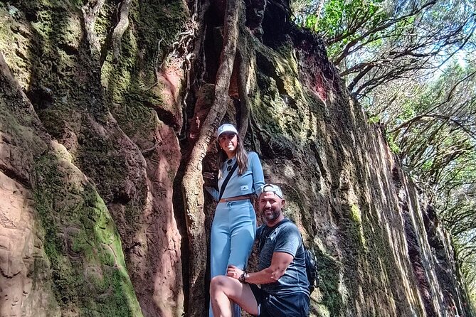 Tenerife: Hiking Tour in Anaga Mountains and Enchanted Forest - Key points to know before you book