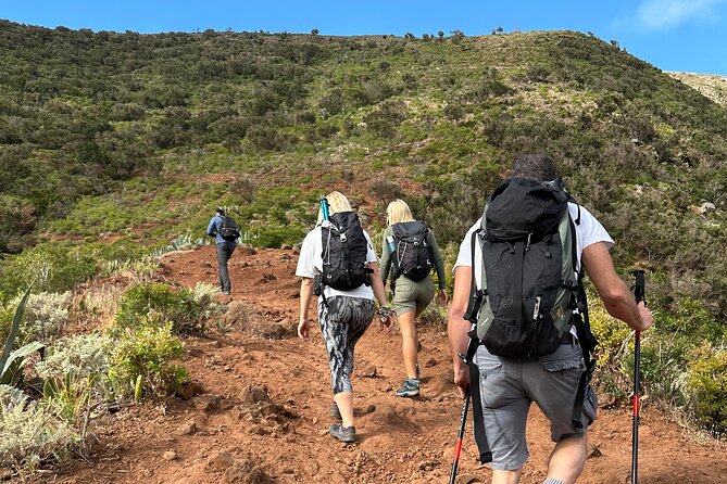 Tenerife: Hiking Tour in Anaga Mountains and Enchanted Forest - The Enchanted Forest sets the mood