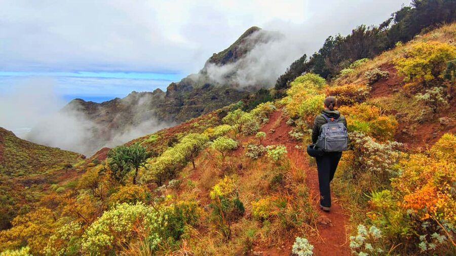 Tenerife: Hiking Tour in Anaga Mountains & Enchanted Forest - Walking beside the water channel