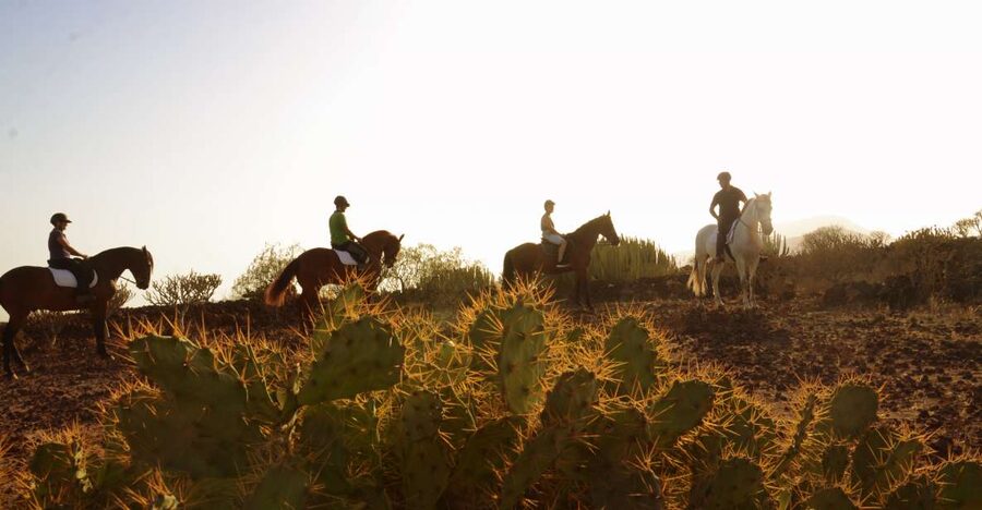 Tenerife: Horseback Ride with Instructor - Key points to know before you book