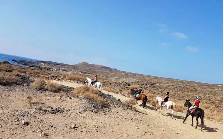 Tenerife: Horseback Ride with Instructor - From Xanadu riding center into southern Tenerife