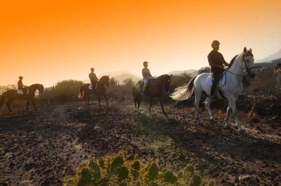 Tenerife: Horseback Ride with Instructor - The two-hour route and the ride to the beach