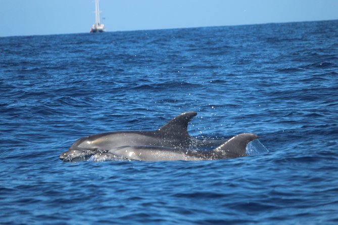 Tenerife : Jet Ski Tour with option for Quad Trip - A swimming break, photos, showers, and cold drinks