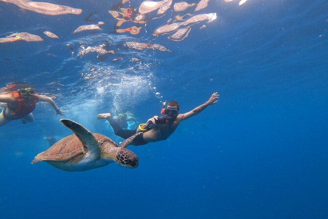 Tenerife: Kayak and snorkel with marine life safari - Weather, fitness, and family considerations