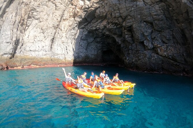 Tenerife: Kayak and snorkel with marine life safari - Who will enjoy this sea safari most