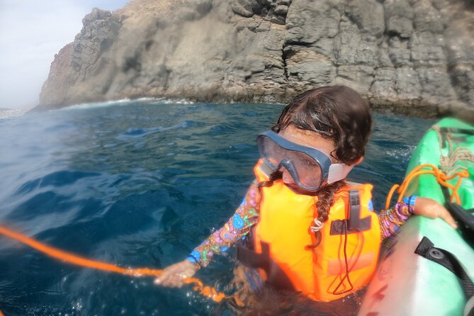Tenerife: Kayak and snorkel with marine life safari - Should you book the MANA KAYAK tour?