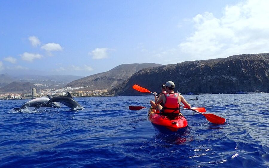 Tenerife: Kayak and Snorkel with Turtles, Wetsuits Included - What is included for $35