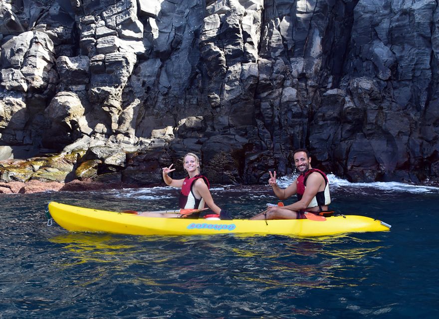 Tenerife: Kayak and Snorkel with Turtles, Wetsuits Included - How to set your wildlife expectations