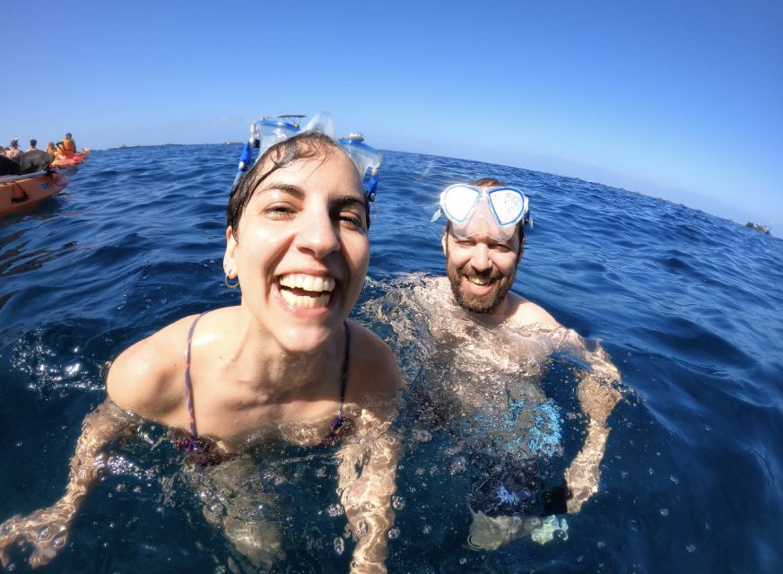 Tenerife: Kayak Safari and Sea Turtle Snorkeling with Photos - Watching dolphins without a large boat