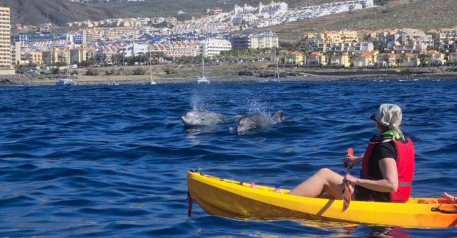 Tenerife: Kayak Safari and Sea Turtle Snorkeling with Photos - What the first hour on the water feels like