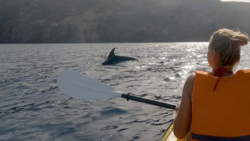 Tenerife: Kayak & Snorkeling Tour - Small Groups - Paddling along Los Cristianos for 30 minutes
