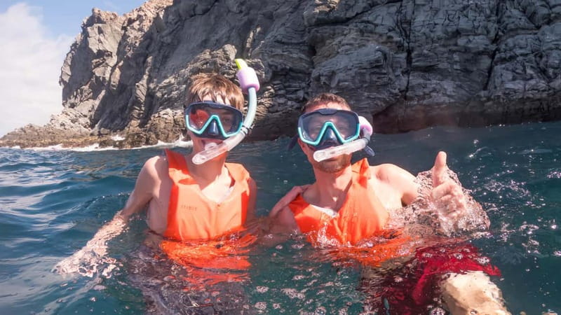 Tenerife: Kayak & Snorkeling Tour - Small Groups - Thirty minutes of wildlife watching near the fish farms