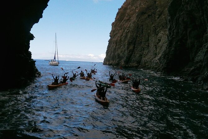 Tenerife Kayak Tour with Marine Wildlife Spotting and Snorkeling - Guide style and the human side of the trip