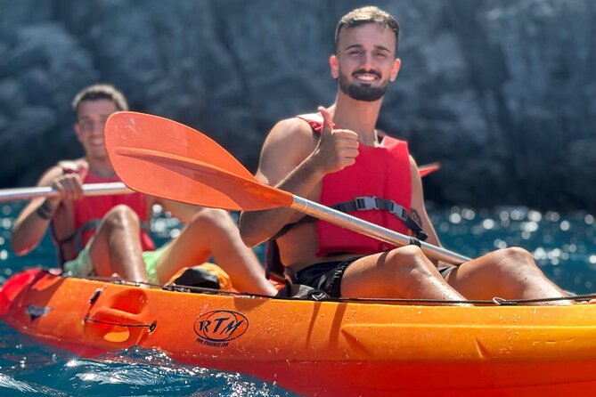 Tenerife Kayak Tour with Marine Wildlife Spotting and Snorkeling - Watching for dolphins and turtles