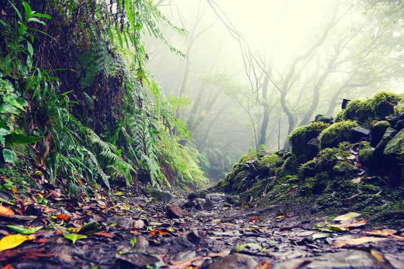 Tenerife: La Laguna & Anaga hike - Key points to know before booking