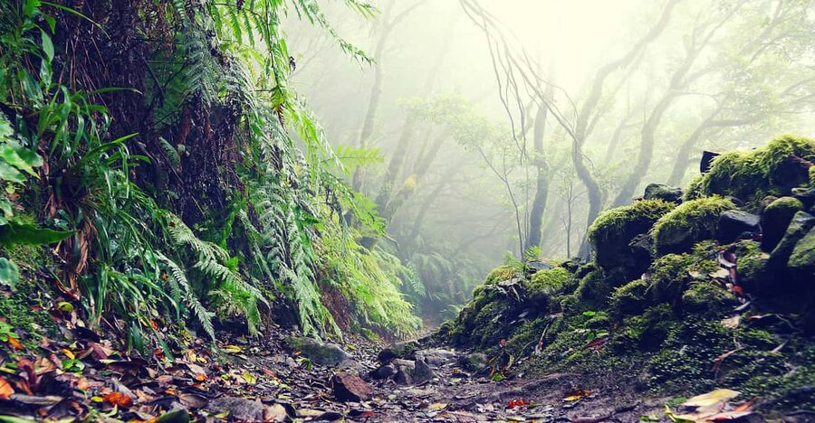 Tenerife: La Laguna & Anaga hike - The morning pickup and the long road north