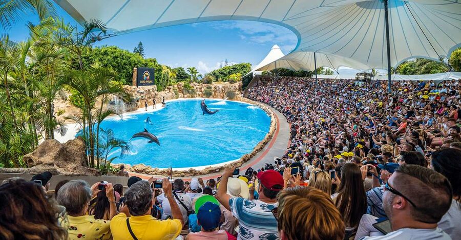 Tenerife: Loro Parque Entry Ticket - Why Loro Parque can fill an entire Tenerife day