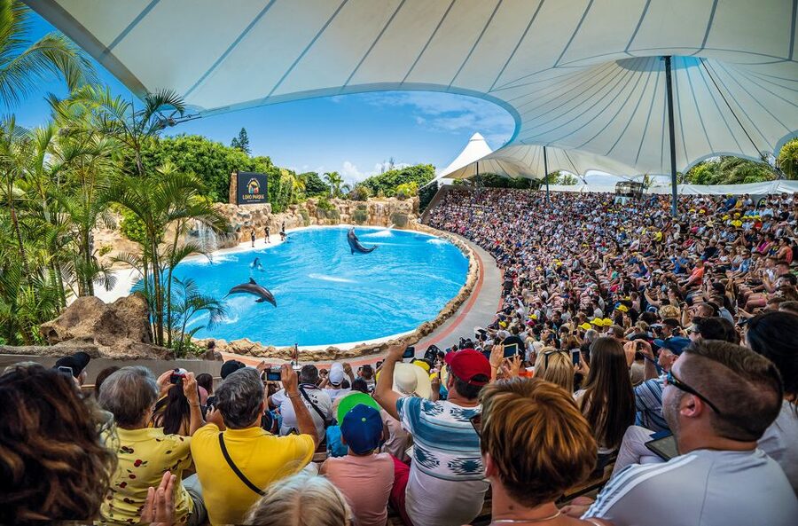 Tenerife: Loro Parque Entry Ticket - Orca Ocean is the biggest headline attraction