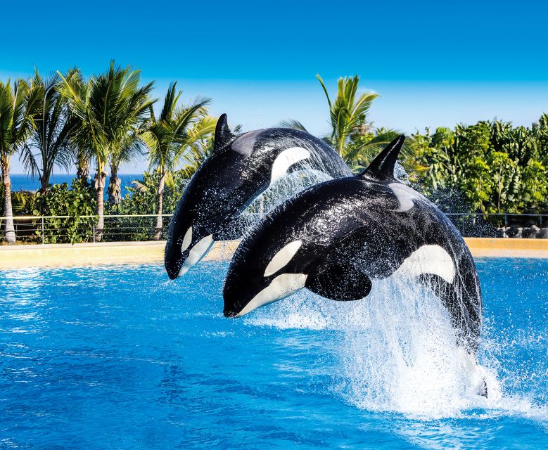 Tenerife: Loro Parque Entry Ticket - Kinderlandia gives younger visitors their own territory