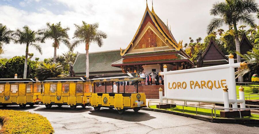 Tenerife: Loro Parque & Siam Park Entry Ticket with Transfer - Two very different park days for $115