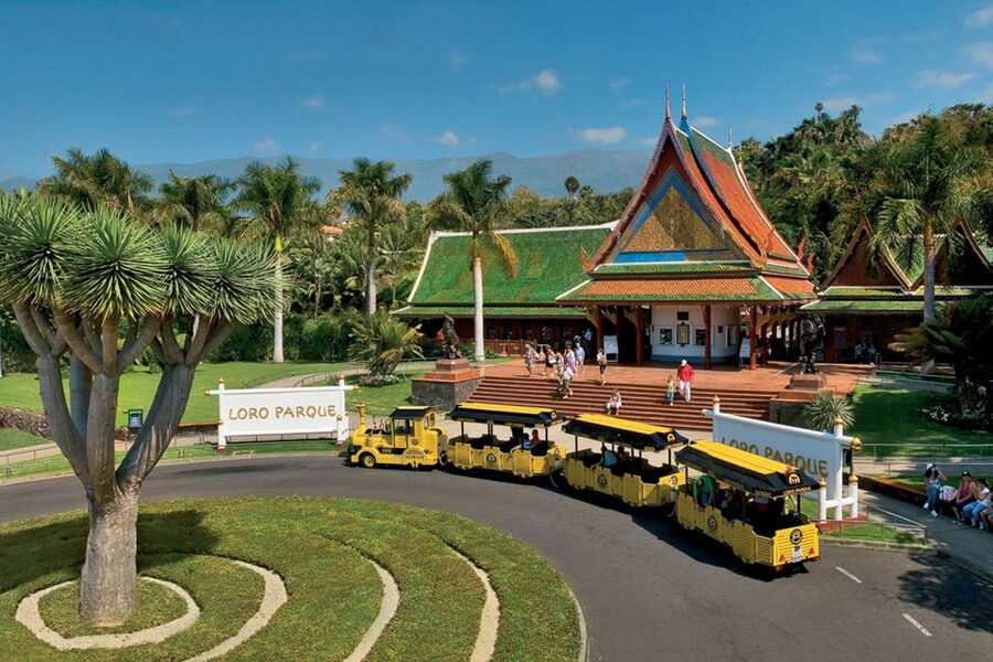 Tenerife: Loro Parque & Siam Park Entry Ticket with Transfer - A full day at Siam Park