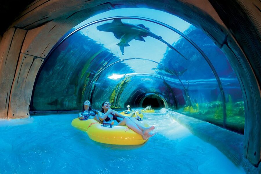 Tenerife: Loro Parque & Siam Park Entry Ticket with Transfer - Who should book this twin ticket
