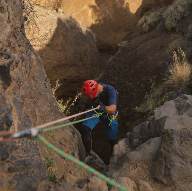 Tenerife: Los Arcos Canyoning Tour with Guide - Orange walls, moss, and volcanic geology