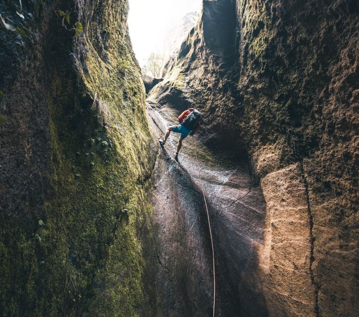 Tenerife: Los Arcos Canyoning Tour with Guide - Is $82 a fair price?
