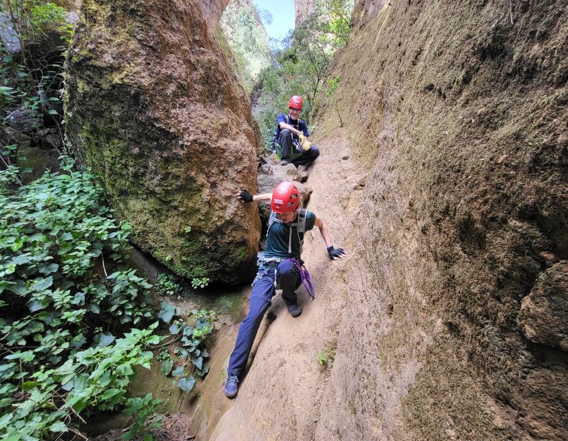 Tenerife: Los Arcos Canyoning Tour with Guide - Who should book this Los Arcos adventure?