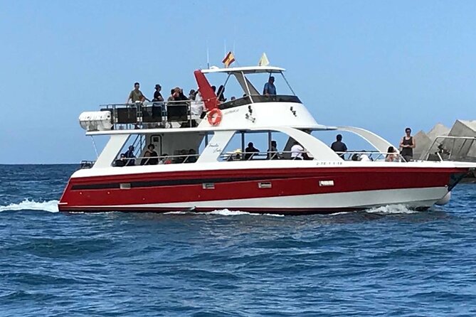 Tenerife Los Cristianos: Whale and Dolphin Eco-Yacht and Swim Stop - Cancellations, Refunds, and Weather Rules