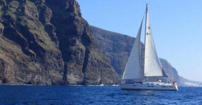 Los Gigantes Whale Watching Cruise by Sail Boat
