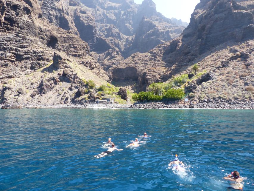 Tenerife: Los Gigantes Whale Watching Cruise by Sail Boat - Who will enjoy this cruise most