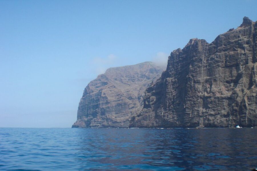 Tenerife: Luxury Private Whale & Dolphin Watching Tour - Looking for pilot whales beyond the harbor