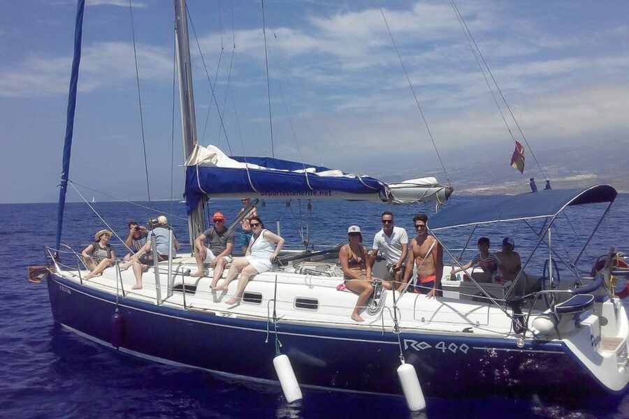 Tenerife: Luxury Private Whale & Dolphin Watching Tour - Who will enjoy this cruise most?